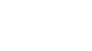 SNESE : Les fabricants d’électronique et services associés