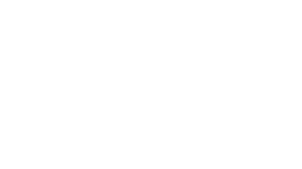 SNESE : Les fabricants d’électronique et services associés